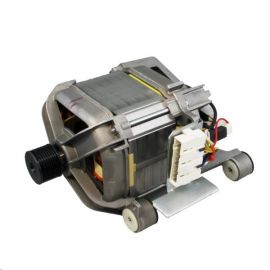 Washing Machine Motor