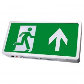 Jegs Led Emergency Maintained Exit Box