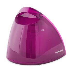 Morphy Richards Steam Iron Water Tank